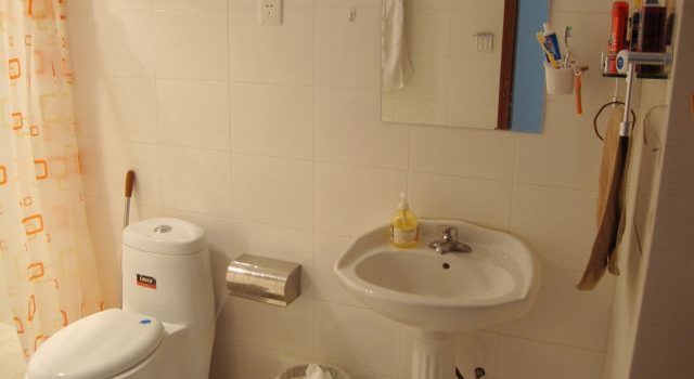 トイレの進化と生活文化