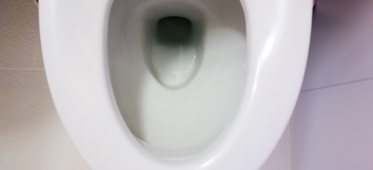 トイレの水回りトラブル徹底防止術と快適で衛生的な暮らしの極意